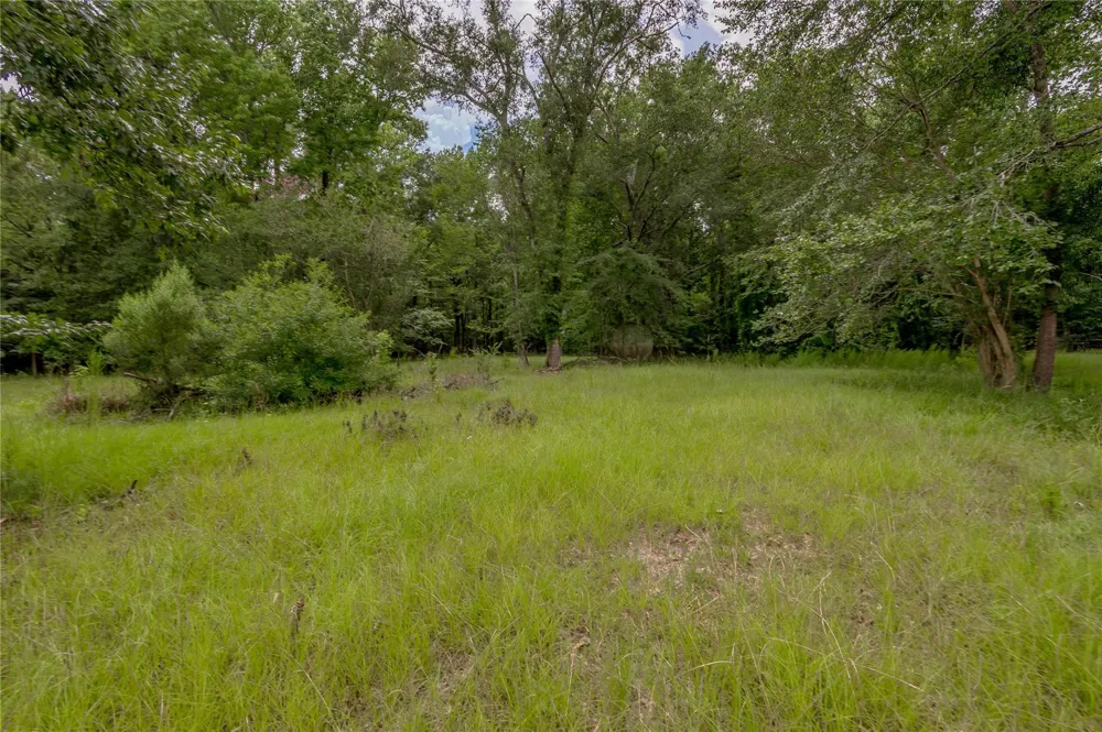 438 Cody Road Groveton, TX 75845