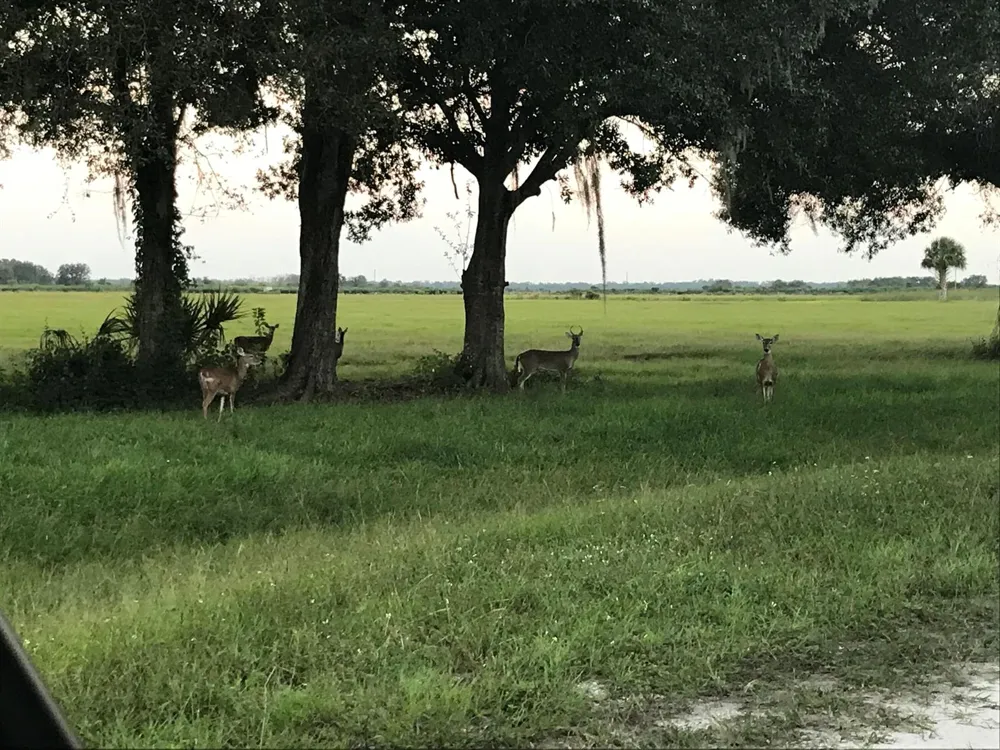 32801 US Hwy 441 Okeechobee, FL 34972