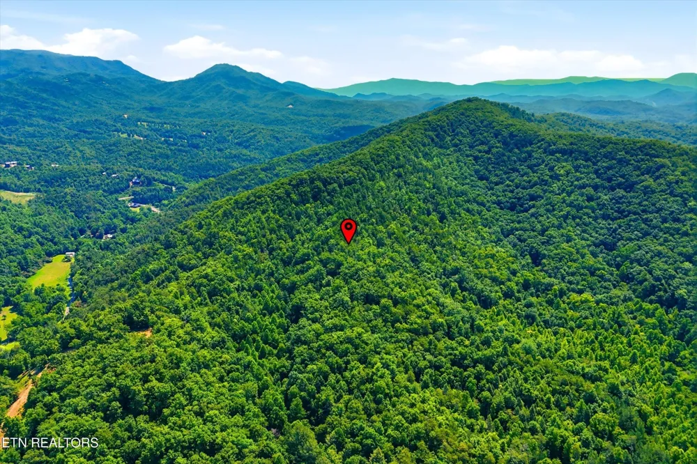 5 Wilhite Rd Sevierville, TN 37876