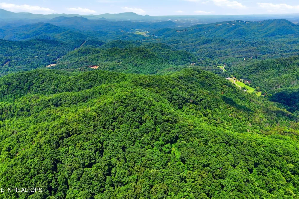 5 Wilhite Rd Sevierville, TN 37876