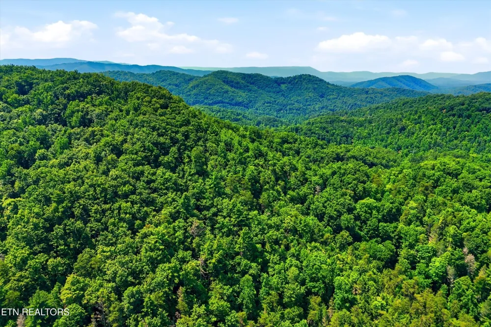5 Wilhite Rd Sevierville, TN 37876