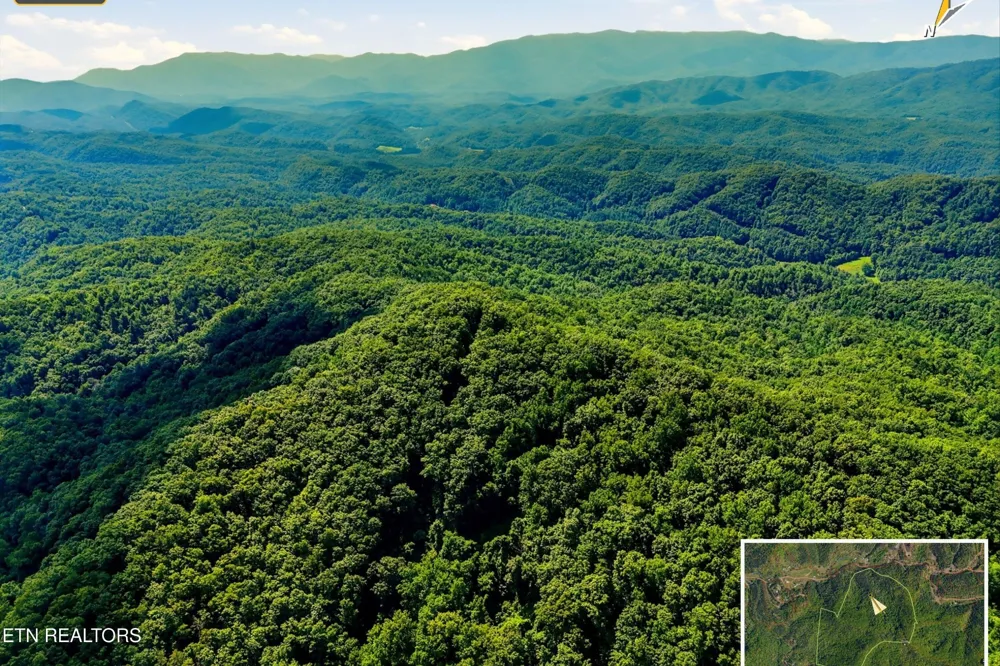 5 Wilhite Rd Sevierville, TN 37876