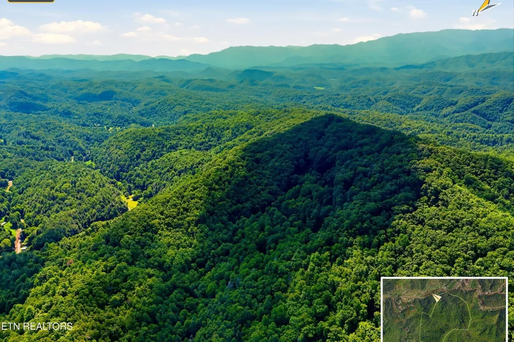 5 Wilhite Rd Sevierville, TN 37876