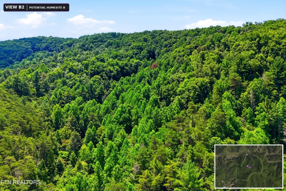 5 Wilhite Rd Sevierville, TN 37876