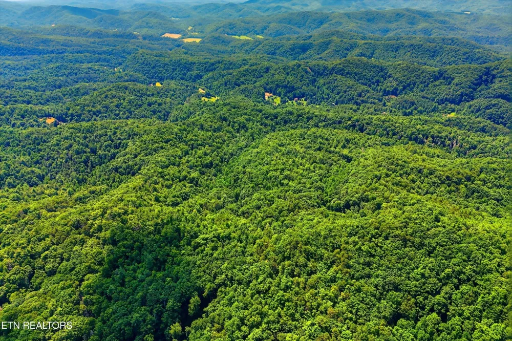 5 Wilhite Rd Sevierville, TN 37876