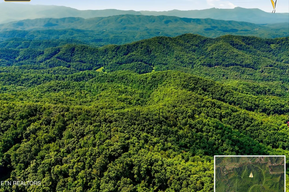 5 Wilhite Rd Sevierville, TN 37876