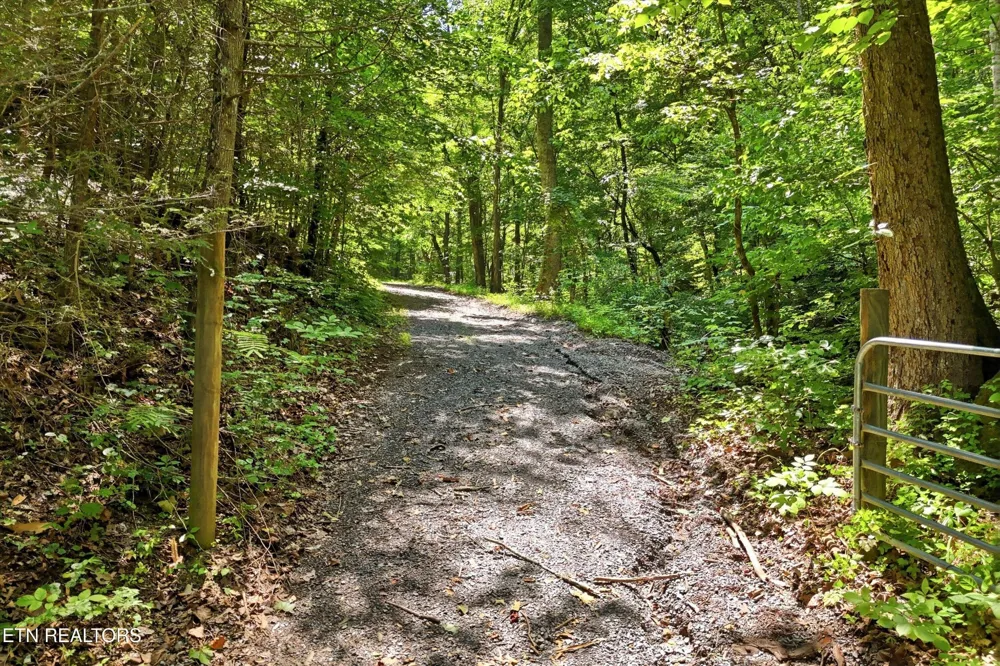 5 Wilhite Rd Sevierville, TN 37876