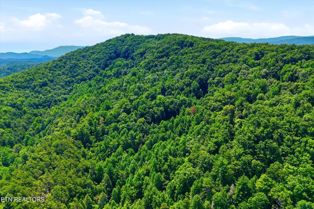 5 Wilhite Rd Sevierville, TN 37876