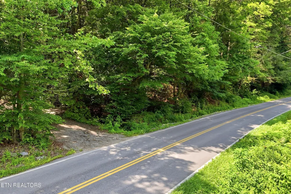 5 Wilhite Rd Sevierville, TN 37876