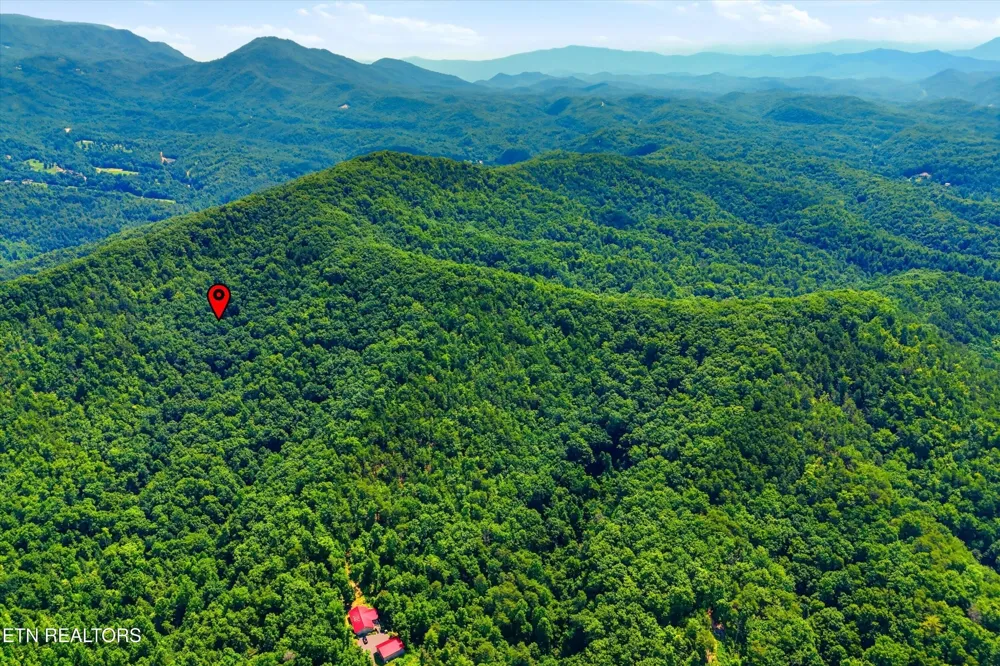 5 Wilhite Rd Sevierville, TN 37876