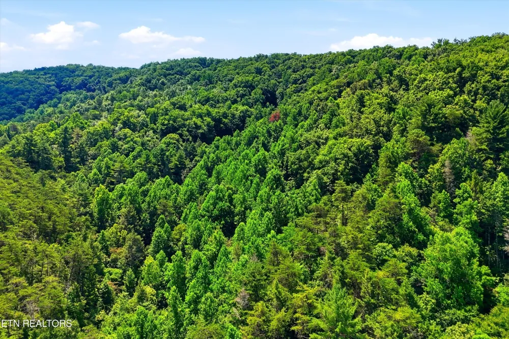 5 Wilhite Rd Sevierville, TN 37876