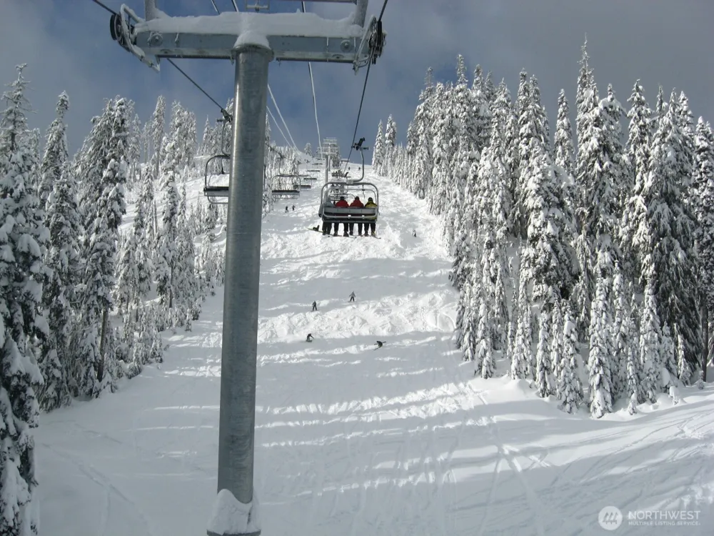67891011 XX Pine Lane Snoqualmie Pass, WA 98068