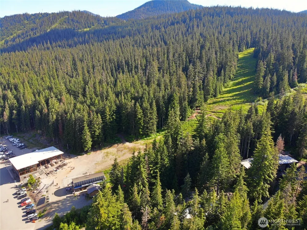 67891011 XX Pine Lane Snoqualmie Pass, WA 98068