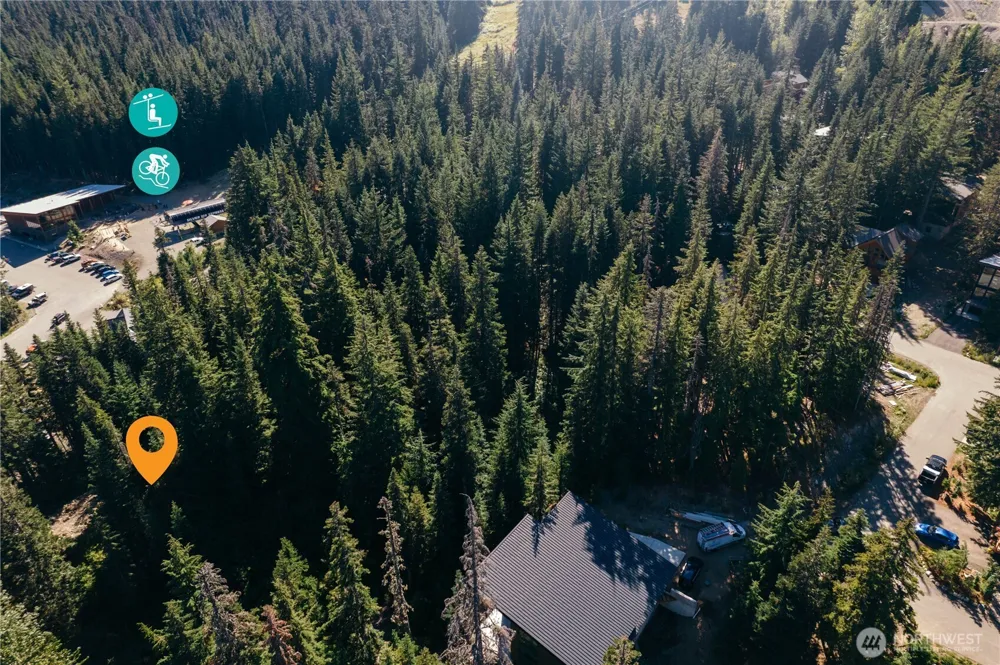 67891011 XX Pine Lane Snoqualmie Pass, WA 98068
