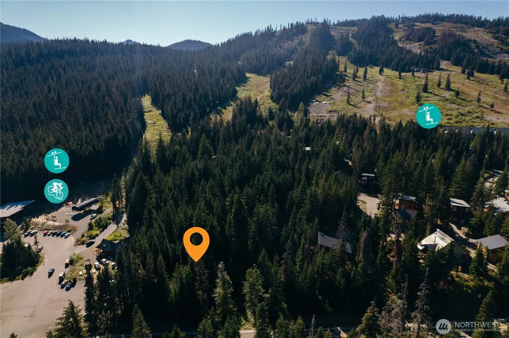 67891011 XX Pine Lane Snoqualmie Pass, WA 98068