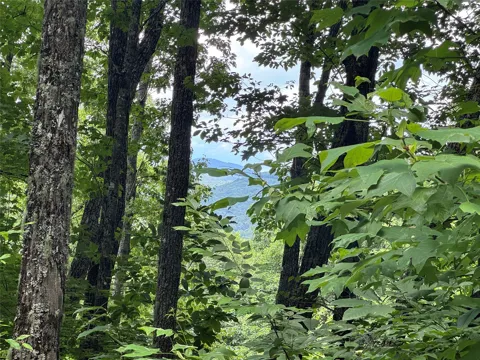 93 Double Branch Trail