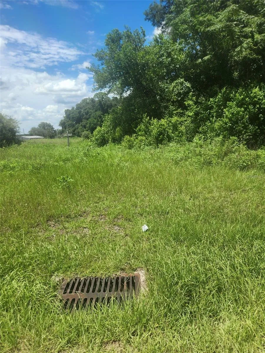 Corner SE 142ND PLACE & S US HWY-301 Summerfield, FL 34491