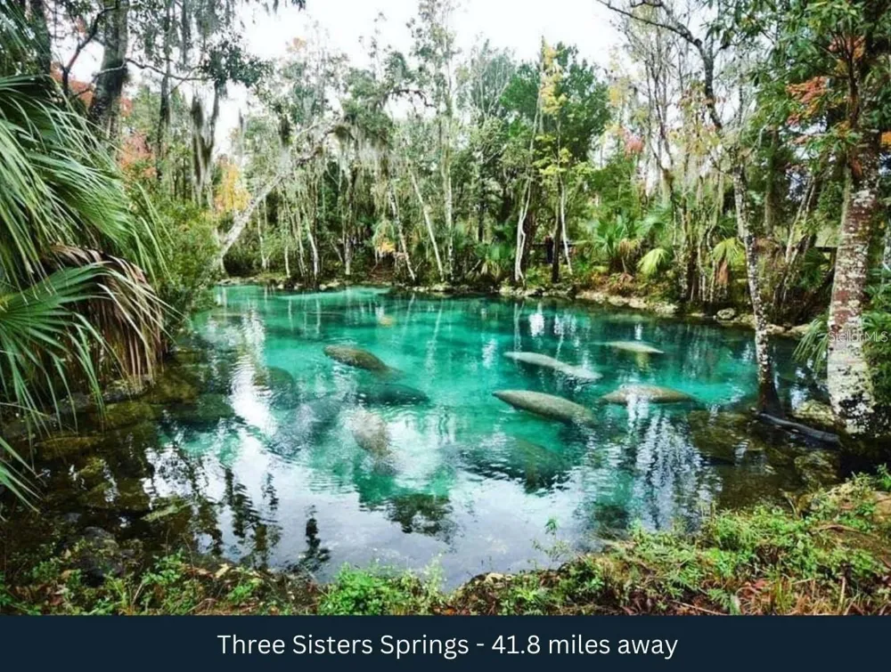 Corner SE 142ND PLACE & S US HWY-301 Summerfield, FL 34491