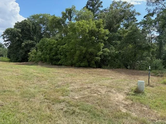 Cypress Creek Drive Diana, TX 75640