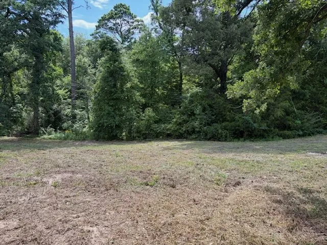 Cypress Creek Drive Diana, TX 75640