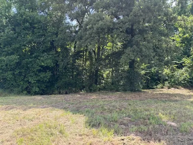 Cypress Creek Drive Diana, TX 75640
