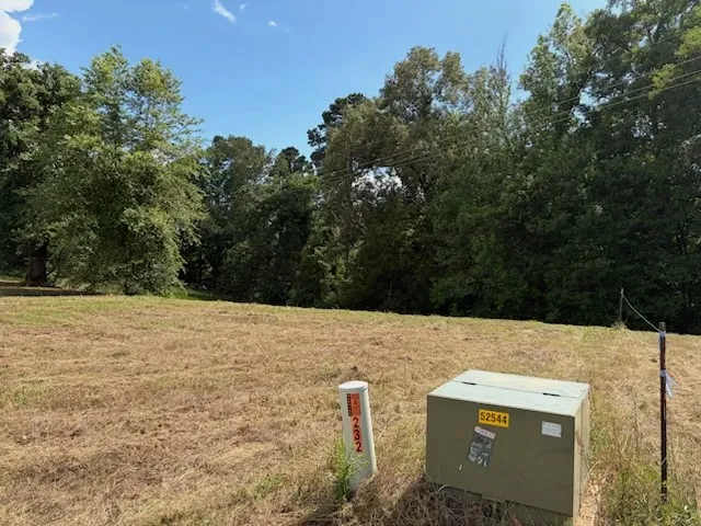 Cypress Creek Drive Diana, TX 75640