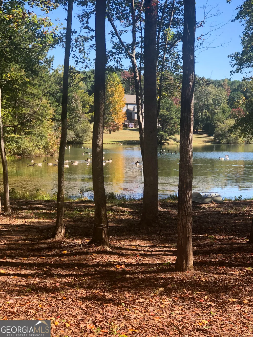 37 Farmstead WAY Senoia, GA 30276