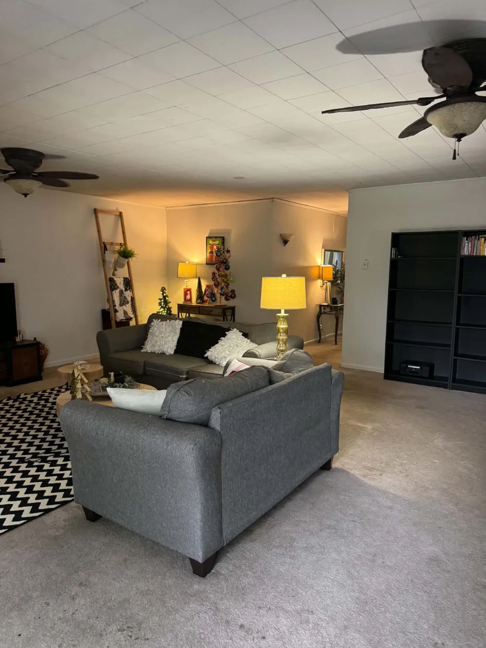 109 Jean St Paris, TN 38242
