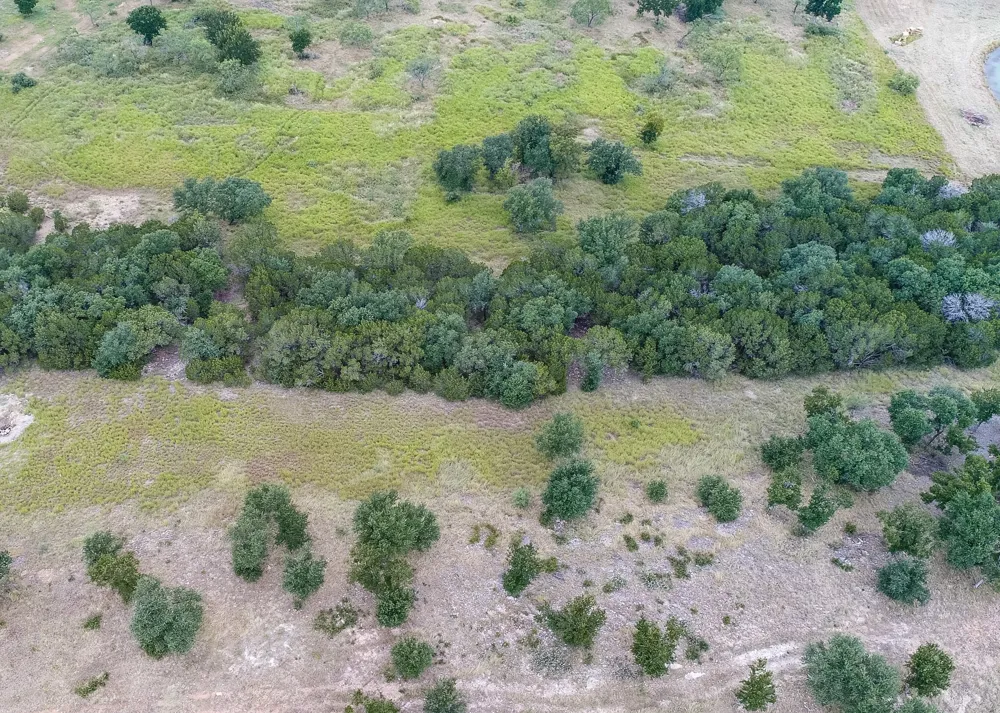 175 Mason Lane Santo, TX 76472