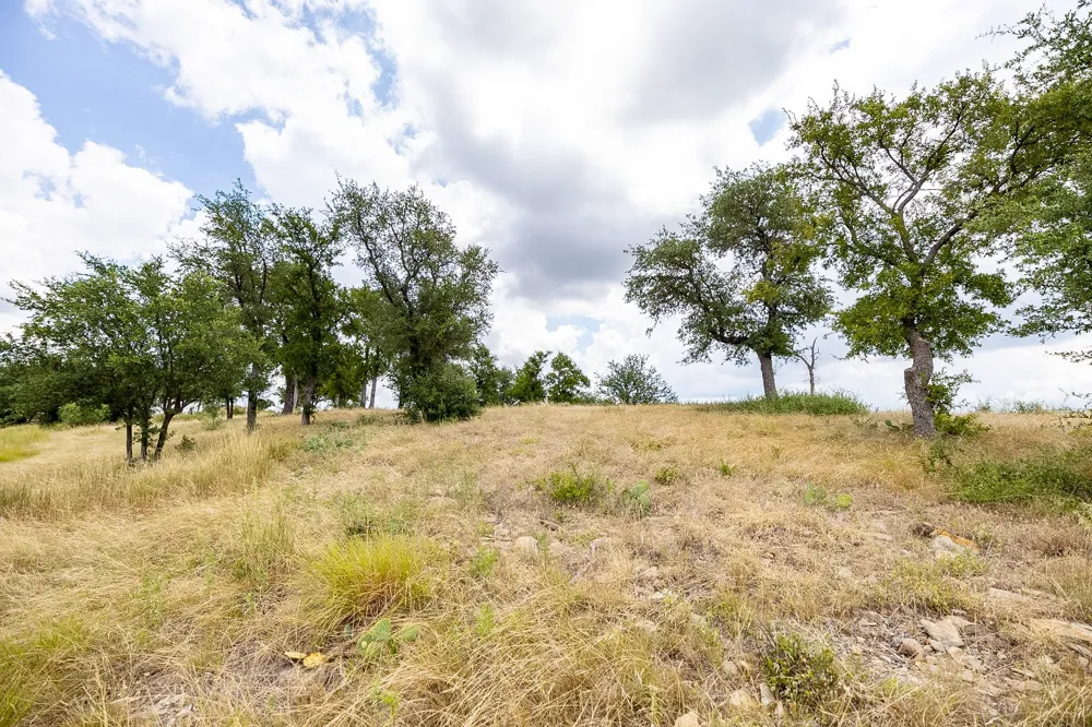 175 Mason Lane Santo, TX 76472