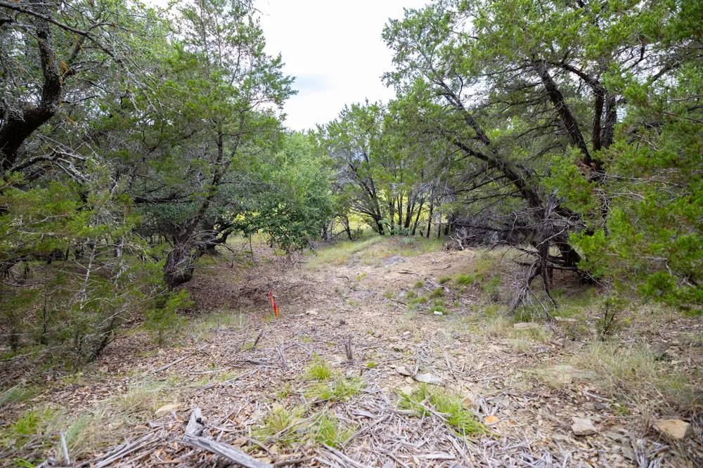 175 Mason Lane Santo, TX 76472