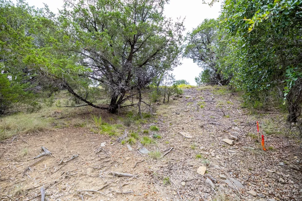175 Mason Lane Santo, TX 76472