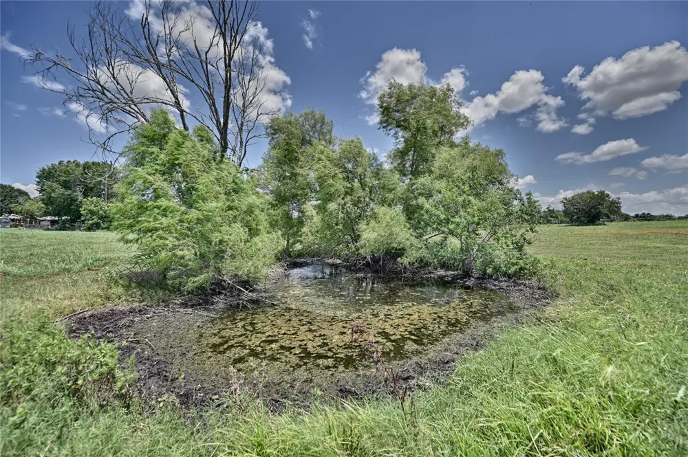Cr 318 Navasota, TX 77868