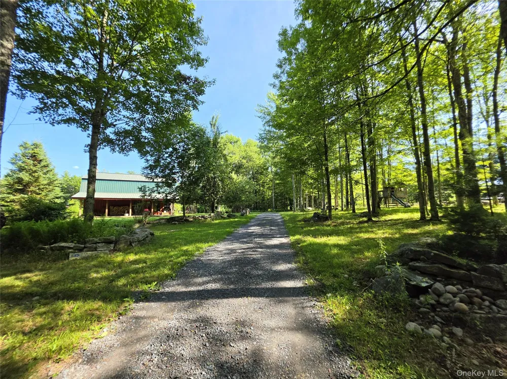 62 Airport Road Mongaup Valley, NY 12762
