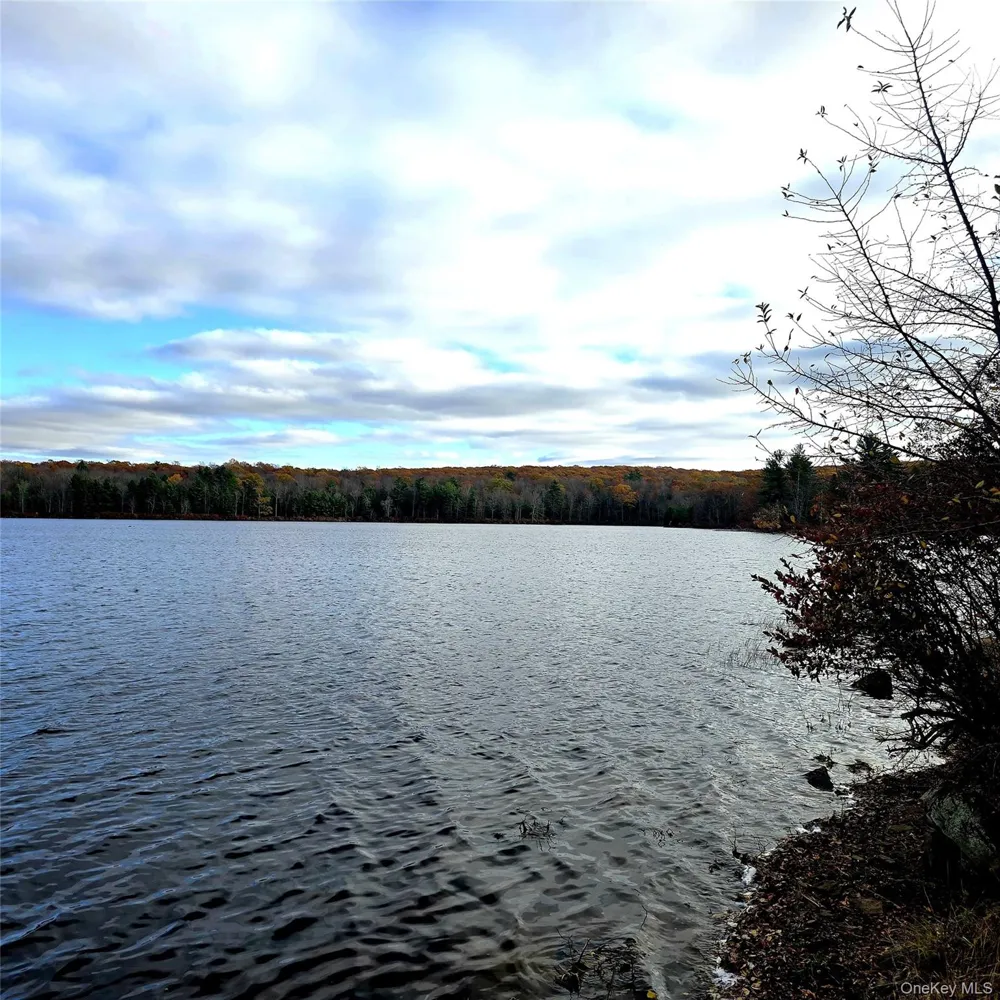 Lena Road Forestburgh, NY 12777