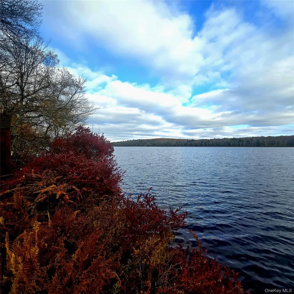 Lena Road Forestburgh, NY 12777