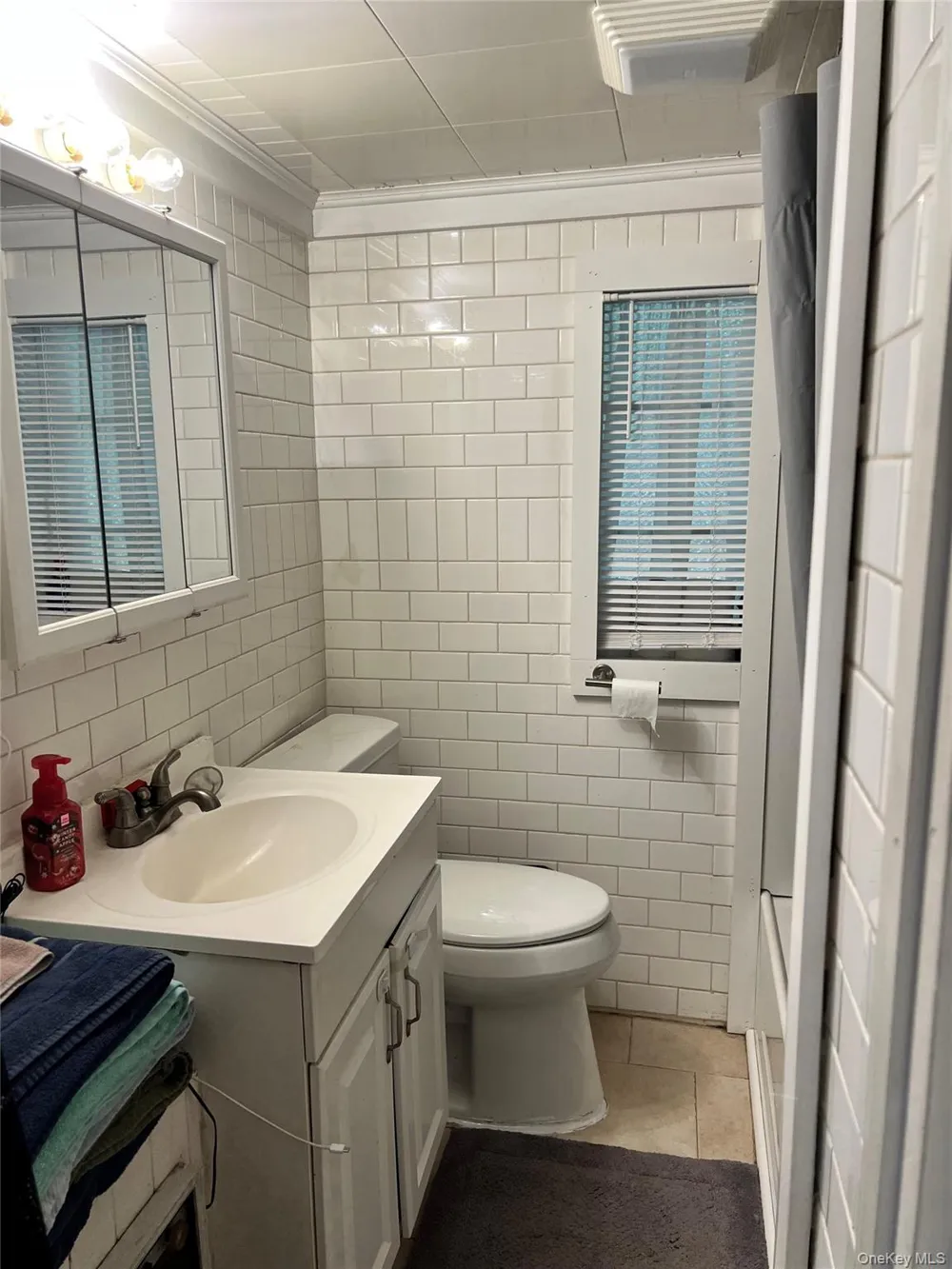 11 Primrose Path Manorville, NY 11949