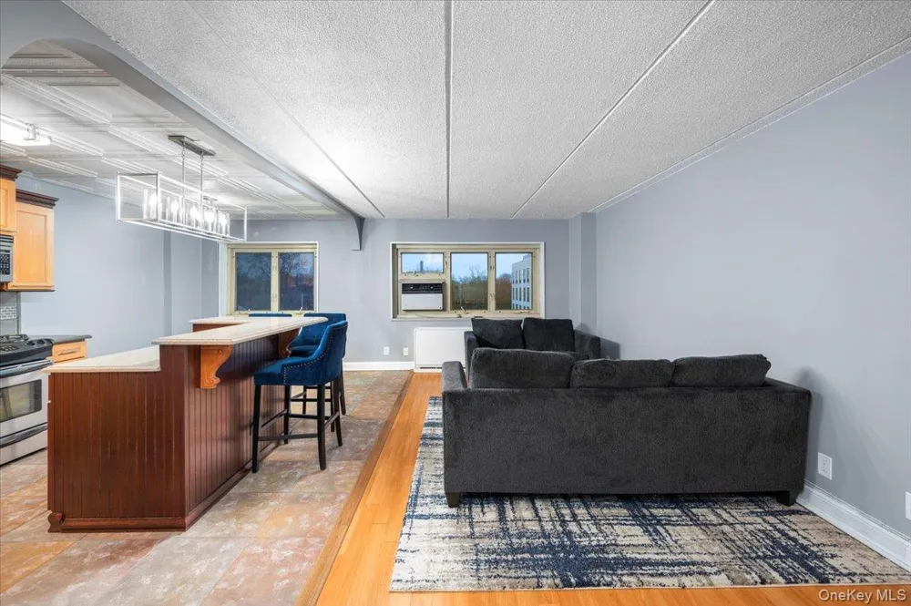 480 Halstead Avenue #5M Harrison, NY 10528