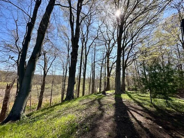 70070 2nd Avenue South Haven Charter Township, MI 49090