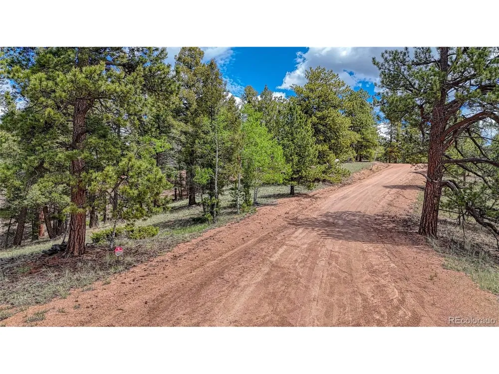 26 Eldorado Circle Florissant, CO 80816