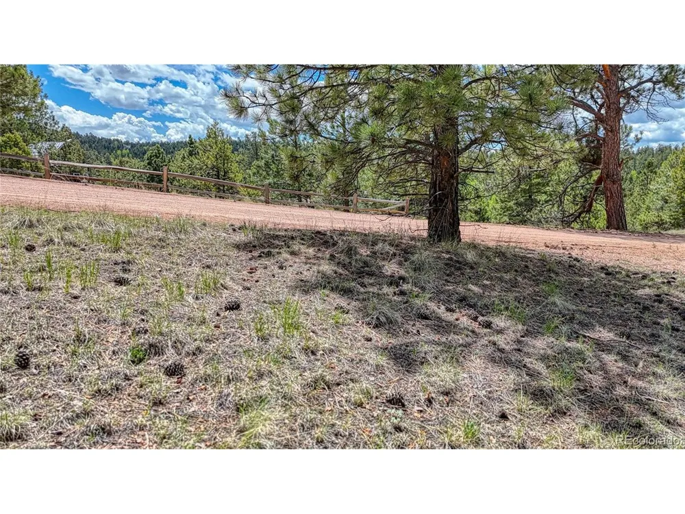 26 Eldorado Circle Florissant, CO 80816