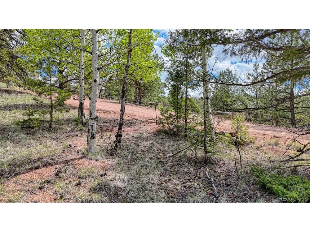 26 Eldorado Circle Florissant, CO 80816