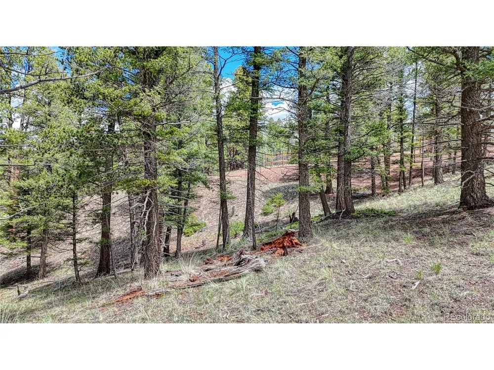 26 Eldorado Circle Florissant, CO 80816