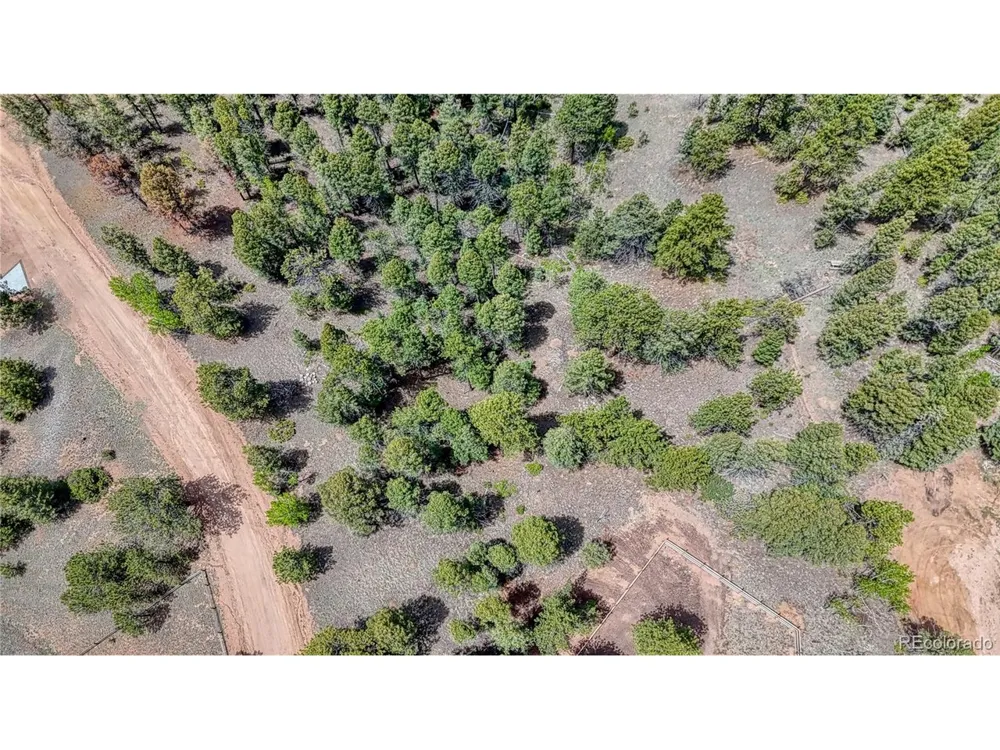 26 Eldorado Circle Florissant, CO 80816
