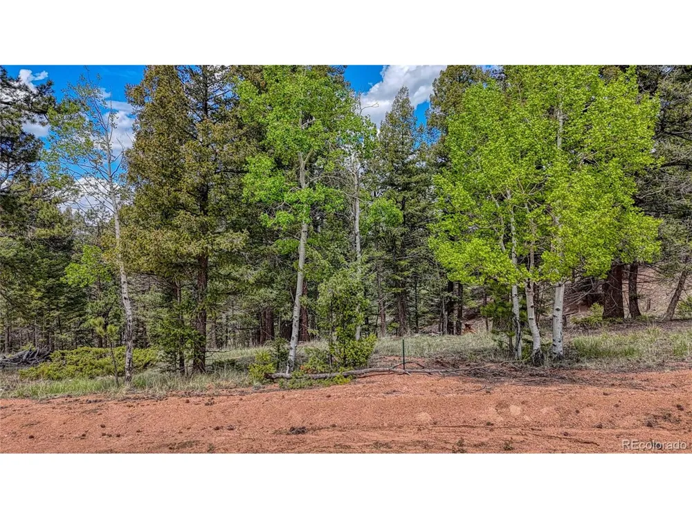 26 Eldorado Circle Florissant, CO 80816