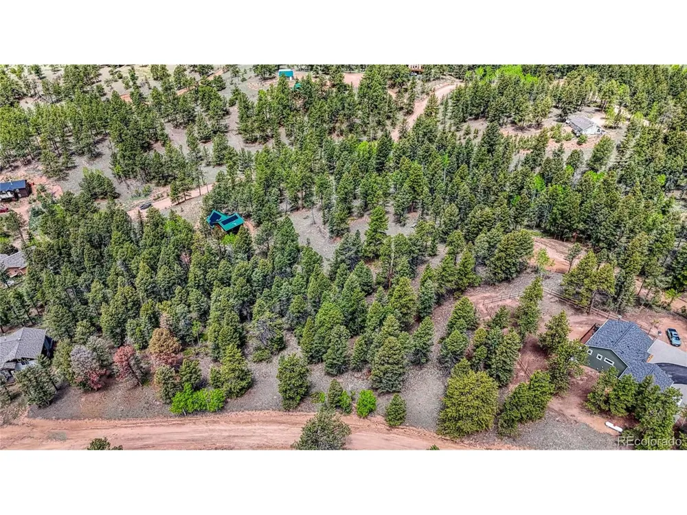 26 Eldorado Circle Florissant, CO 80816
