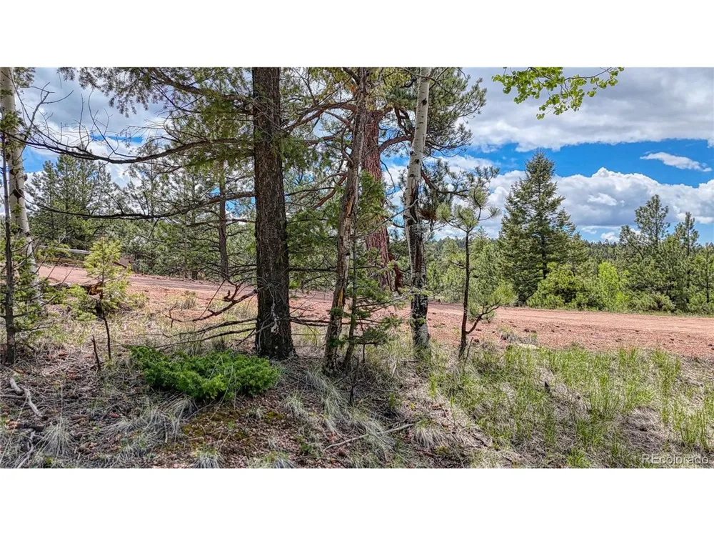 26 Eldorado Circle Florissant, CO 80816