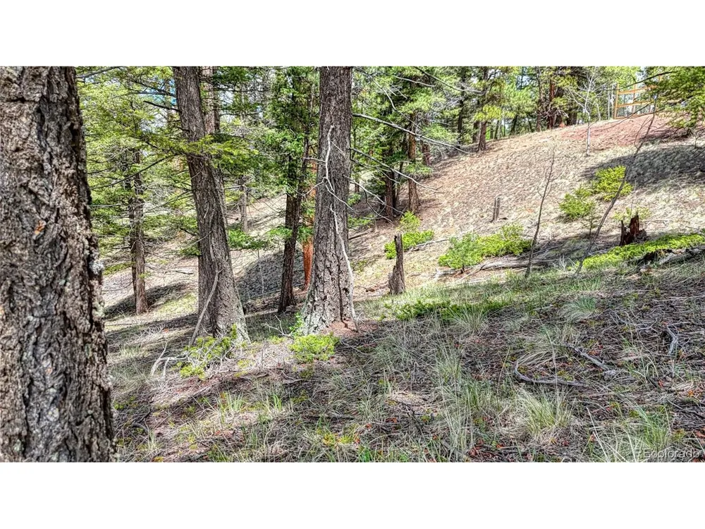 26 Eldorado Circle Florissant, CO 80816