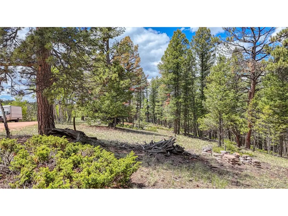 26 Eldorado Circle Florissant, CO 80816