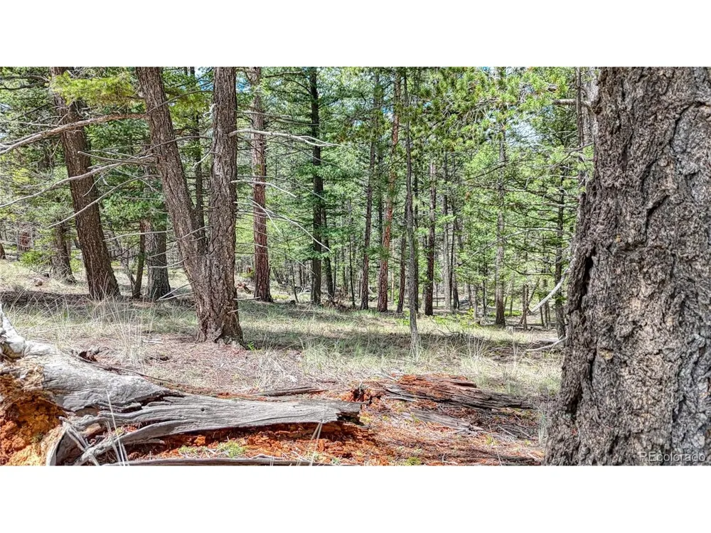 26 Eldorado Circle Florissant, CO 80816